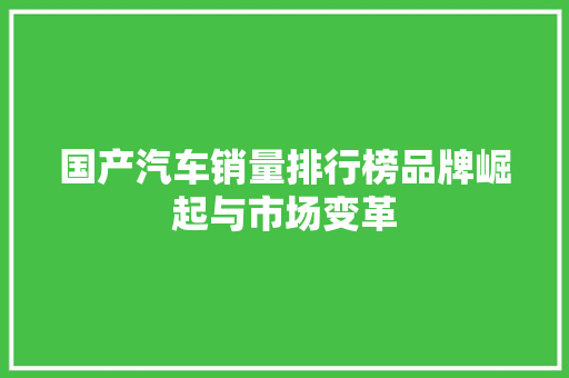 国产汽车销量排行榜品牌崛起与市场变革