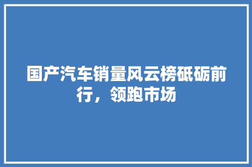 国产汽车销量风云榜砥砺前行，领跑市场