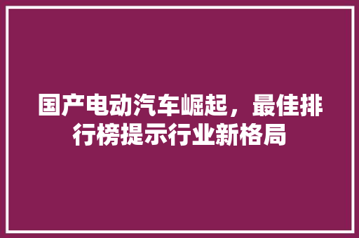国产电动汽车崛起，最佳排行榜提示行业新格局