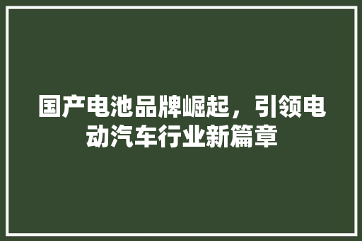 国产电池品牌崛起，引领电动汽车行业新篇章  第1张