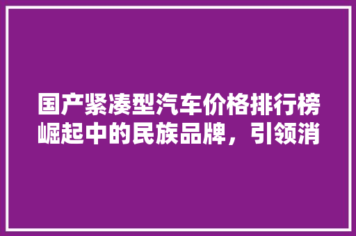 国产紧凑型汽车价格排行榜崛起中的民族品牌，引领消费新趋势
