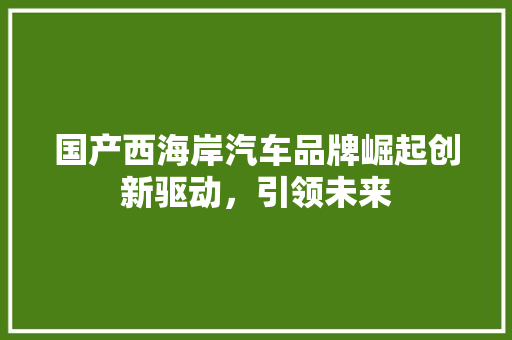 国产西海岸汽车品牌崛起创新驱动，引领未来  第1张