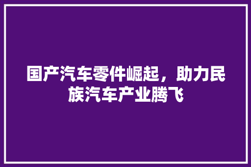 国产汽车零件崛起，助力民族汽车产业腾飞