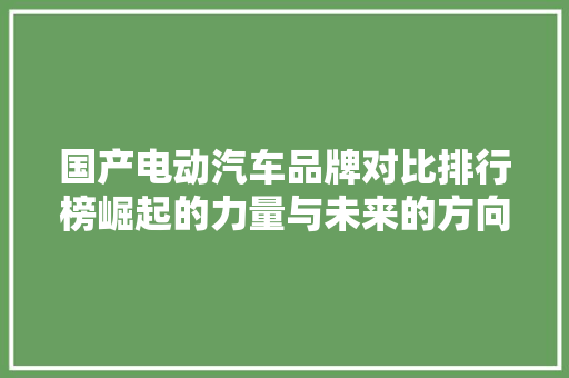 国产电动汽车品牌对比排行榜崛起的力量与未来的方向  第1张