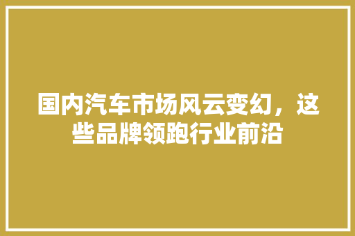 国内汽车市场风云变幻，这些品牌领跑行业前沿  第1张