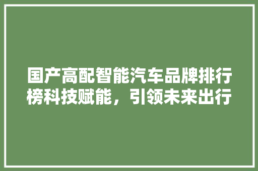 国产高配智能汽车品牌排行榜科技赋能，引领未来出行新潮流  第1张