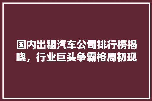 国内出租汽车公司排行榜揭晓，行业巨头争霸格局初现