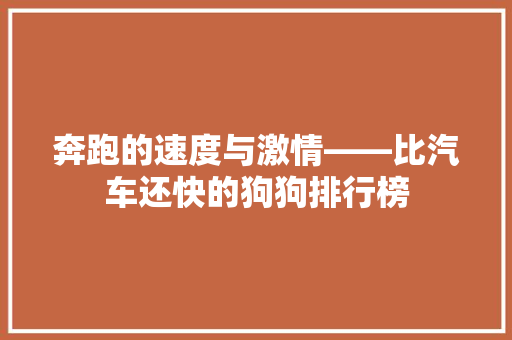 奔跑的速度与激情——比汽车还快的狗狗排行榜  第1张