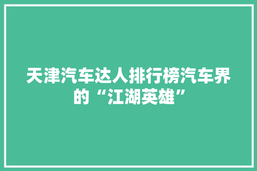 天津汽车达人排行榜汽车界的“江湖英雄”