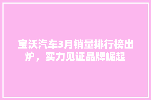 宝沃汽车3月销量排行榜出炉，实力见证品牌崛起  第1张