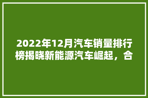 2022年12月汽车销量排行榜揭晓新能源汽车崛起，合资品牌表现亮眼